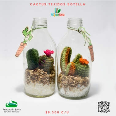2 cactus
